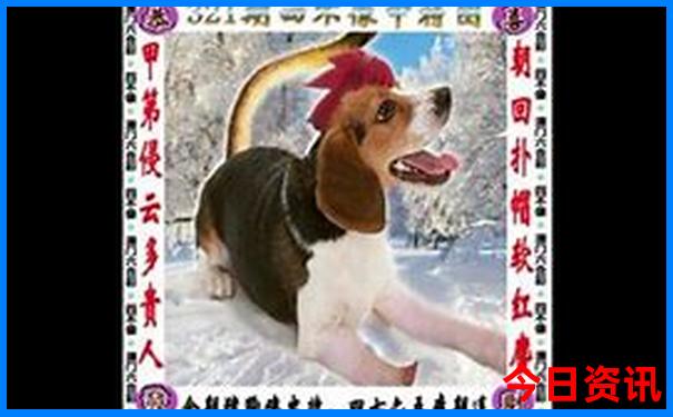 香格里拉三日游攻略