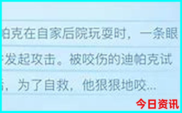 去贵州的旅行攻略